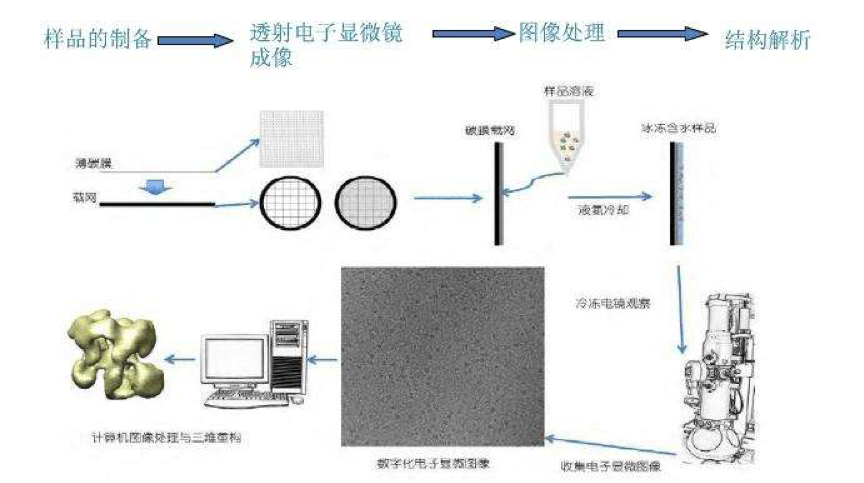 冷凍電鏡(圖3)